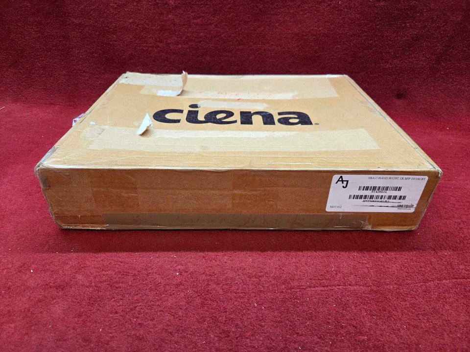 Ciena NTK552JA
