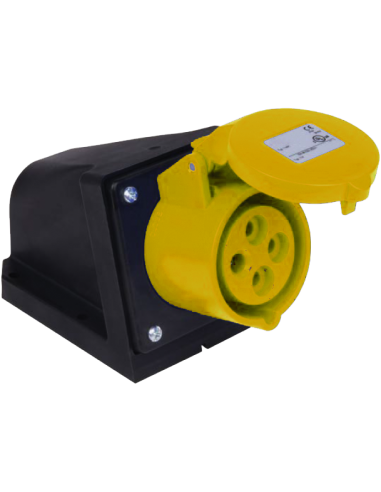 Altech D31S11A RECPF,20A,2P/3W,4h,120V