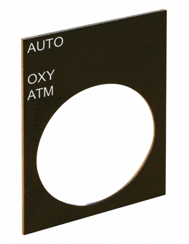 Altech 2LP58 Plaque signalétique, 22 mm - Lot de 2000